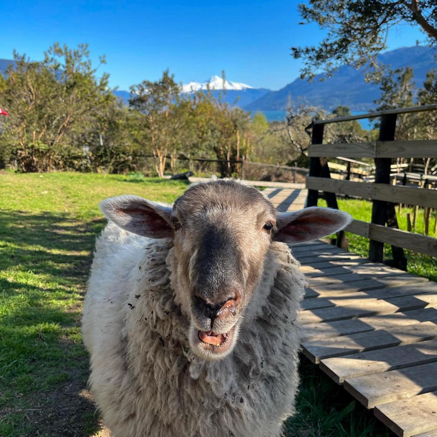 Patagonia Nativa Bed and Breakfast Cochamo Esterno foto